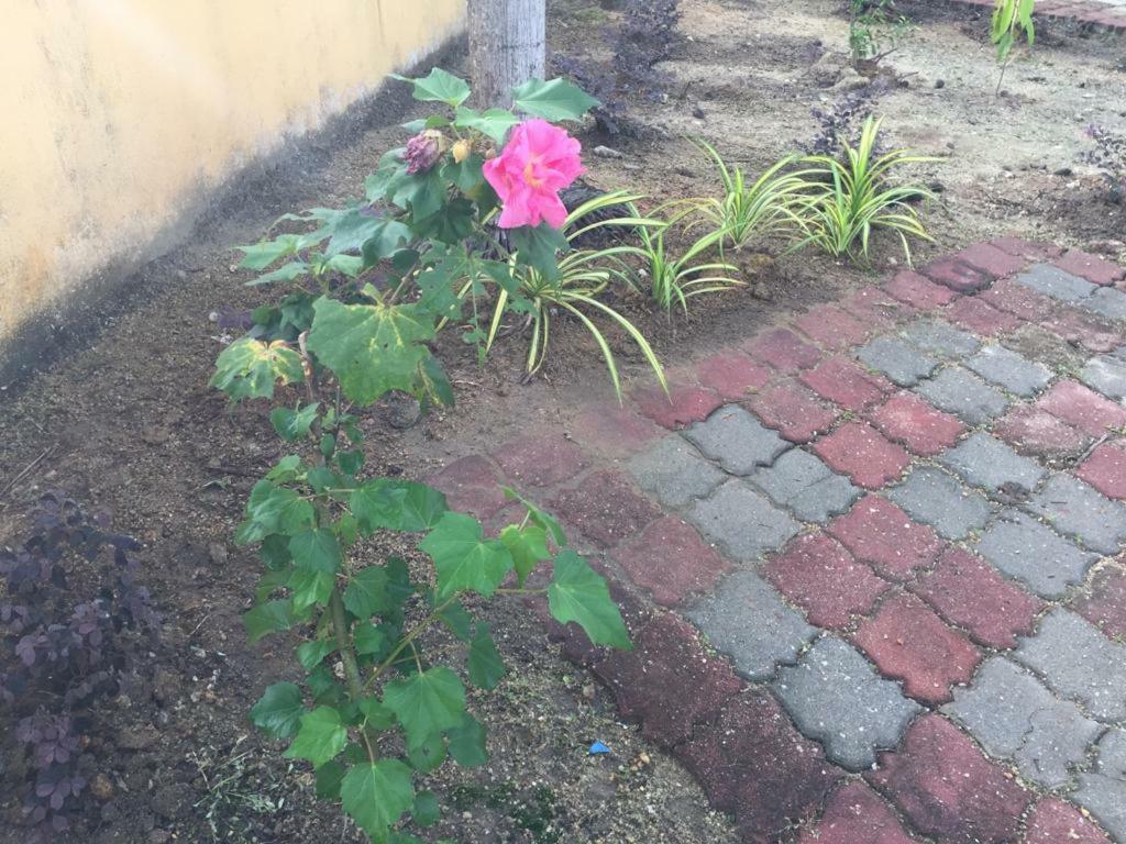 The Garden Vacation Home Лумут Экстерьер фото